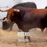 Bullfight ticket Fitero – San Raimundo Abad Bullfighting festival 