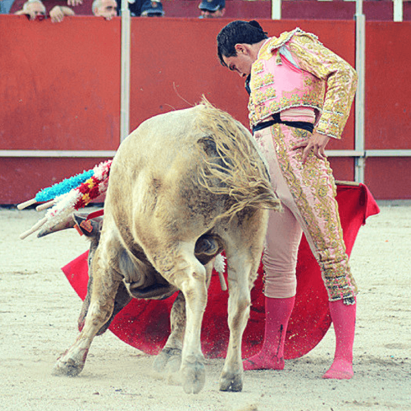 Alejandro Rodríguez