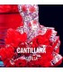 Bullfight Tickets Cantillana - Bullfighting festivities