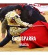 Bullfight ticket Calasparra – Feria del Arroz