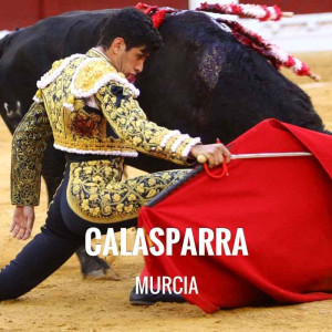 Bullfight ticket Calasparra –  Feria del Arroz