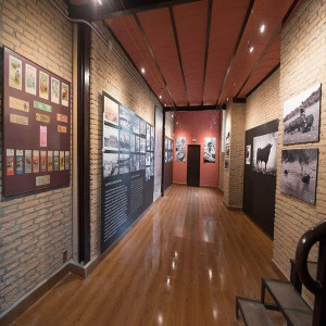 Plaza Toros Granada - Visitas Guiadas