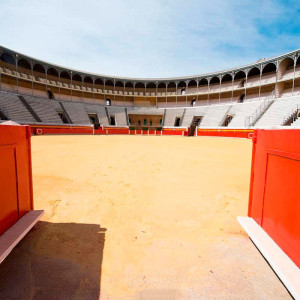 Puerta Plaza Toros Granada 