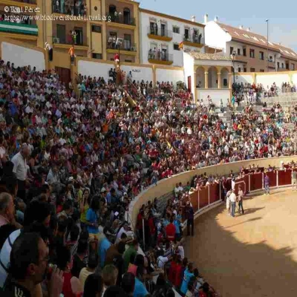 Villacarrillo (Jaén). Bullring