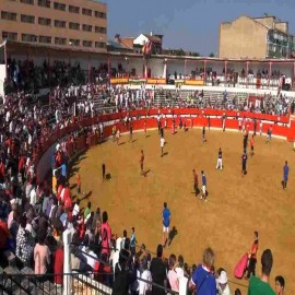 Alfaro (La Rioja), plaza de toros.