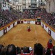 Algemesí (Valencia). Bullring