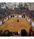 Algemesí (Valencia). Bullring