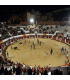 San Pedro de los Arenales (Ávila). Bullring