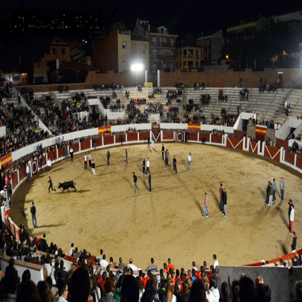 San Pedro de los Arenales (Ávila). Bullring