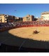 Majadahonda (Madrid). Bullring