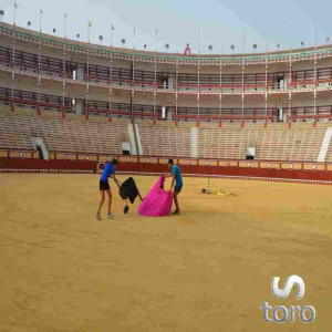 El Puerto de Santa María. Plaza de Toros