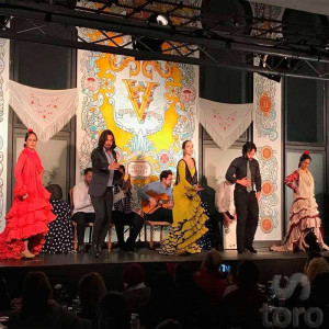 Guided visit Madrid bullring – Museum