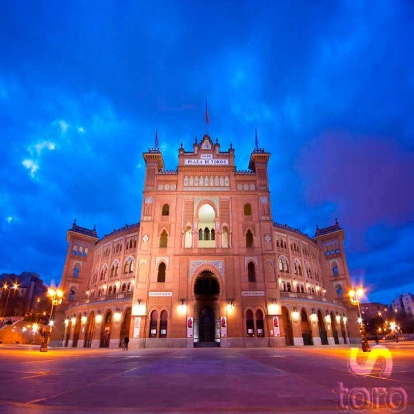 Visita Guiada Plaza Toros Madrid - Museo