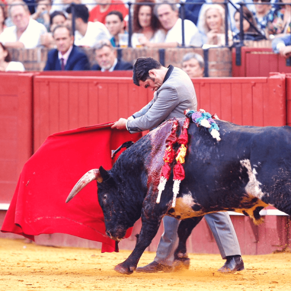 Morante de la Puebla