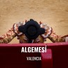 Bullfight tickets Algemesí - Setmana de Bous