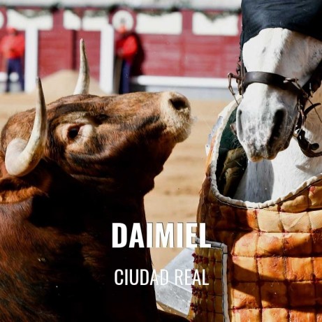 Bullfight tickets Daimiel - Bullfighting Fair 
