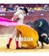 Bullfight tickets Andujar - Bullfighting fest