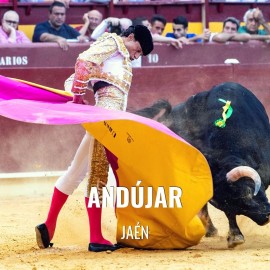 Bullfight tickets Andujar - Bullfighting fest