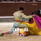 Bullfight Tickets La Palma - Bullfighting festival 