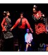 Guided visit Madrid bullring + Flamenco meal