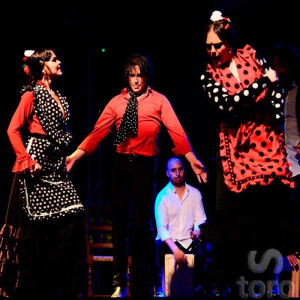 Guided visit Madrid bullring + Flamenco dinner