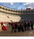 Guided visit Madrid bullring + Exhibition of Toreo de Salón