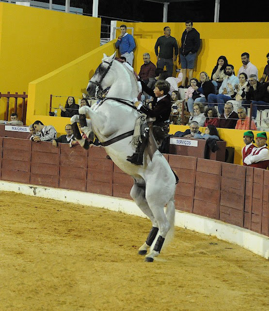 André Gonçalves