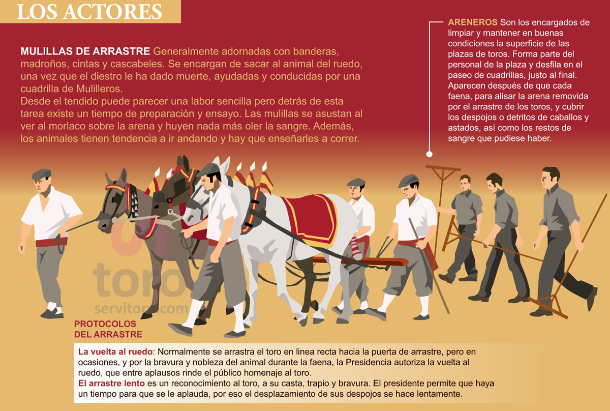 Que Llevan Los Toreros En La Entrepierna