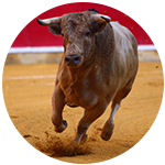 Bullfighting in San Sebastian Spain