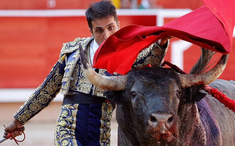 Javier Castaño en Pamplona