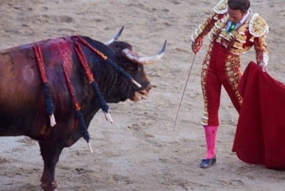 EL Juli cuts the only ear in the seventh of Pamplona