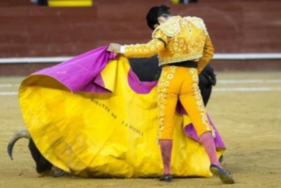 Morante de la Puebla vuelve a la Feria de Fallas