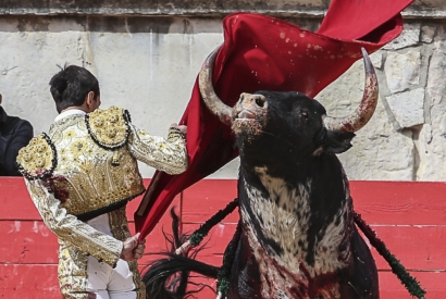 La semana en titulares: Descansa en paz pequeño Adrián
