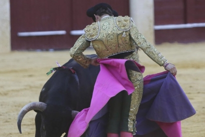 Maraton taurino en Agosto