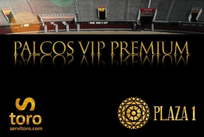 A VIP afternoon at Las Ventas