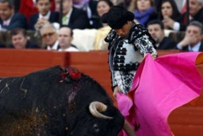 Manzanares interrupts his bullfighting season
