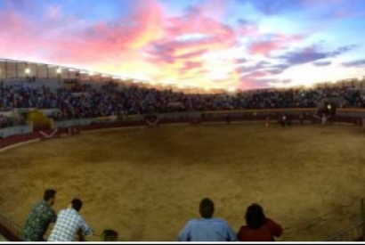 Triunfadores de la Feria Taurina de Almodóvar del Campo