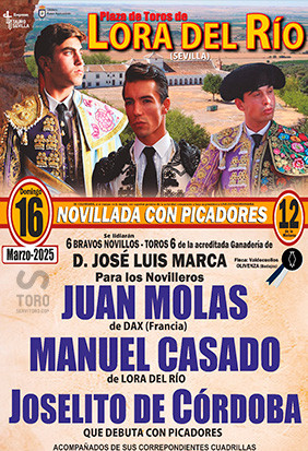 Entradas toros Lora del Rio 205